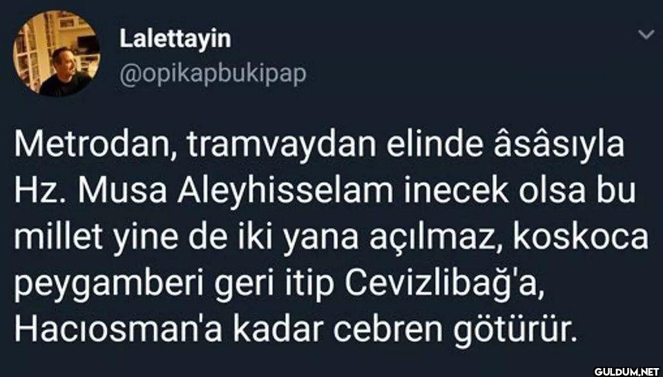 L Metrodan, tramvaydan...