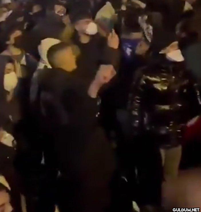 Araya bunlar gibi...