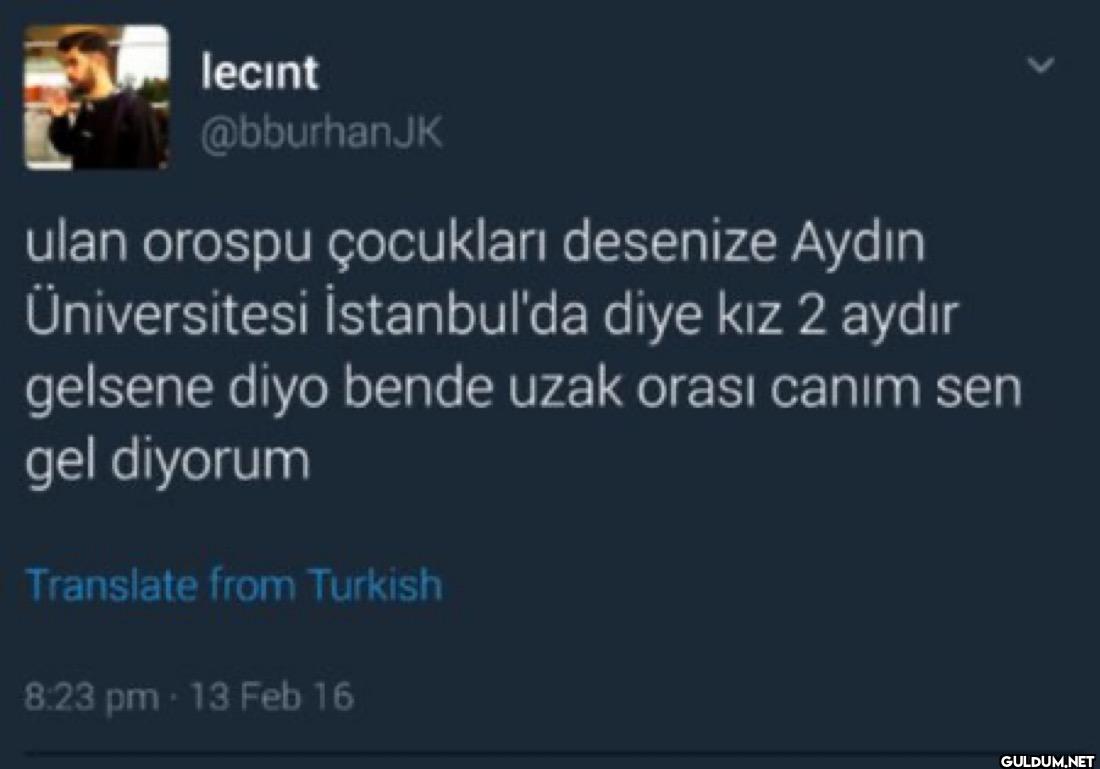 ulan orospu çocukları...