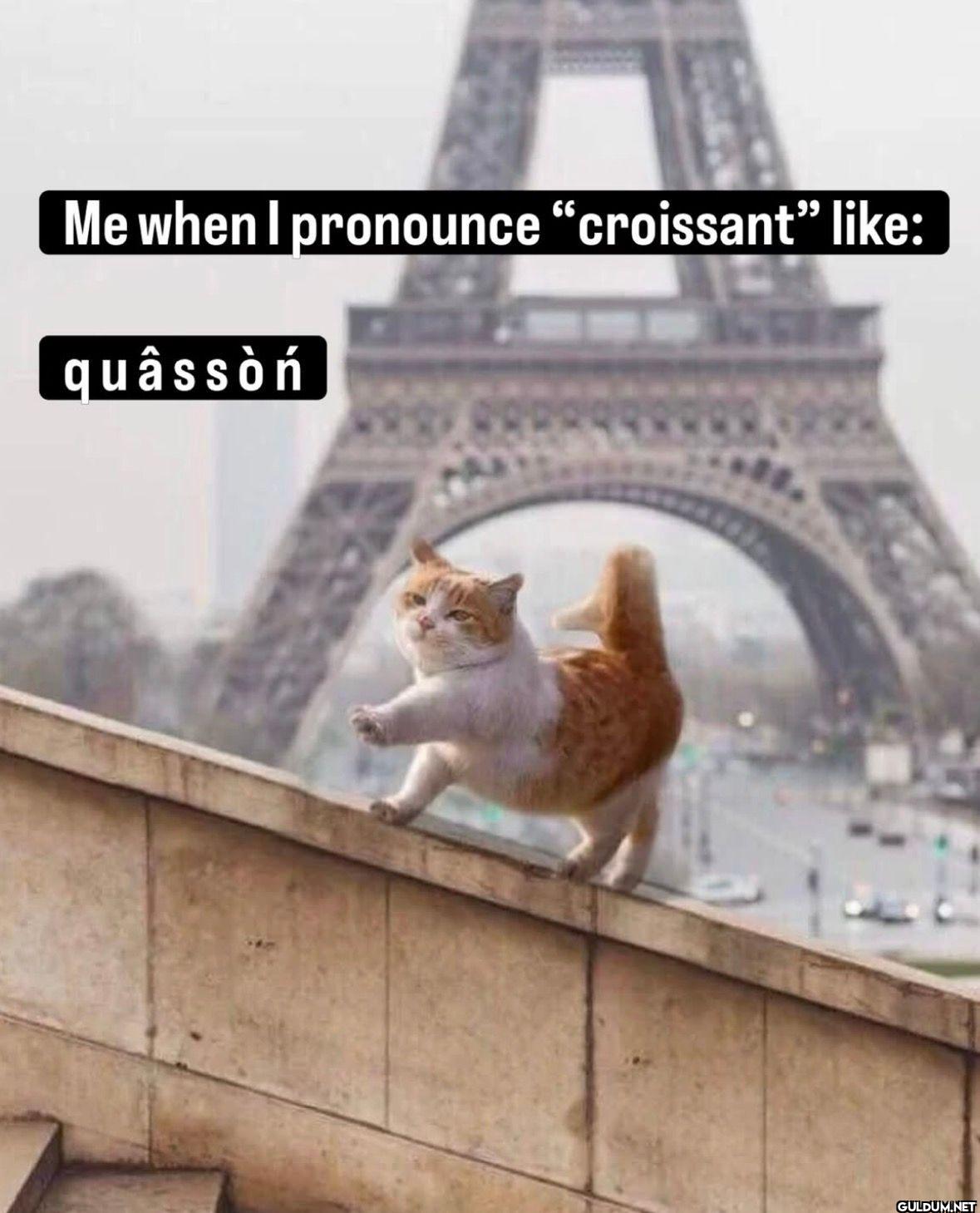 Me when I pronounce...