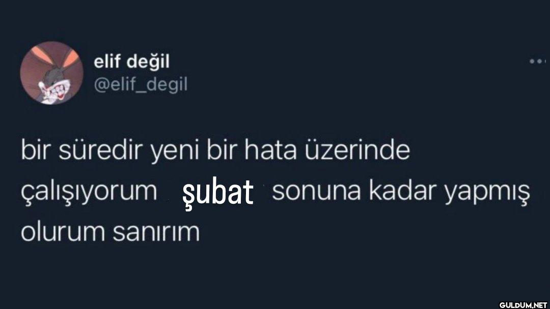bir süredir yeni bir hata...