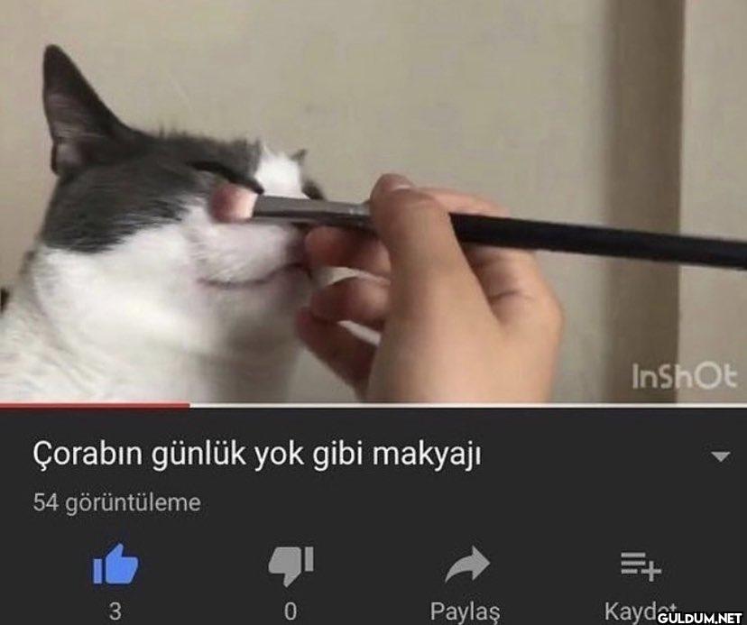 Çorabın günlük yok gibi...