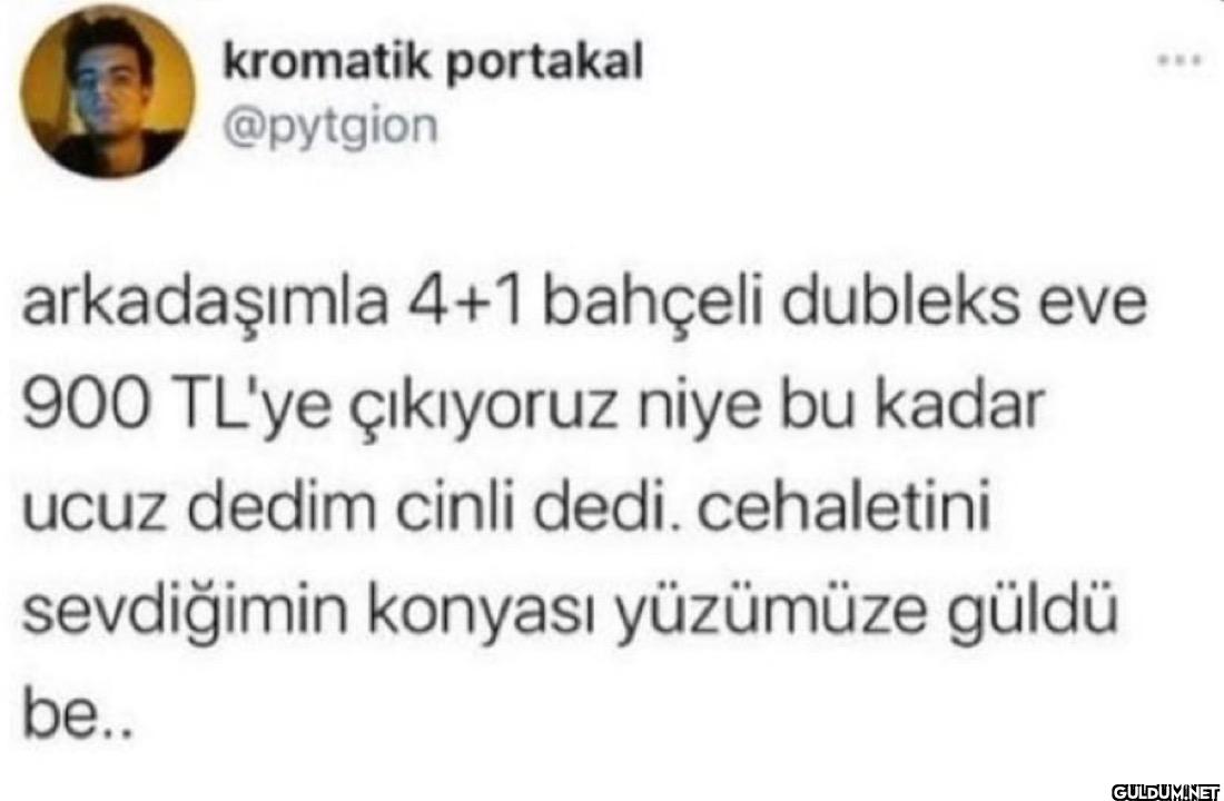 arkadaşımla 4+1 bahçeli...