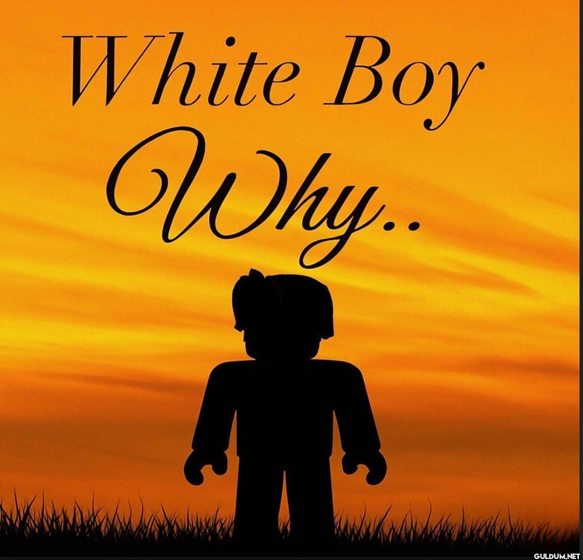 White Boy Why..