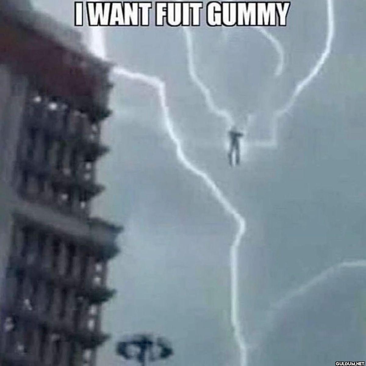 I WANT FUIT GUMMY