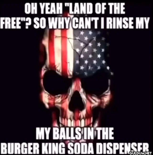 OH YEAH LAND OF THE FREE ?...