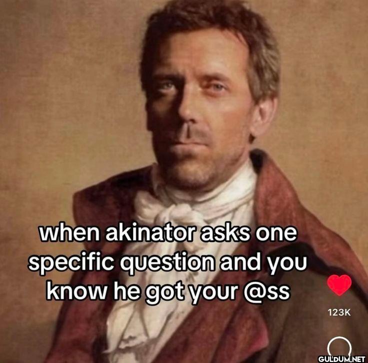 when akinator asks one...