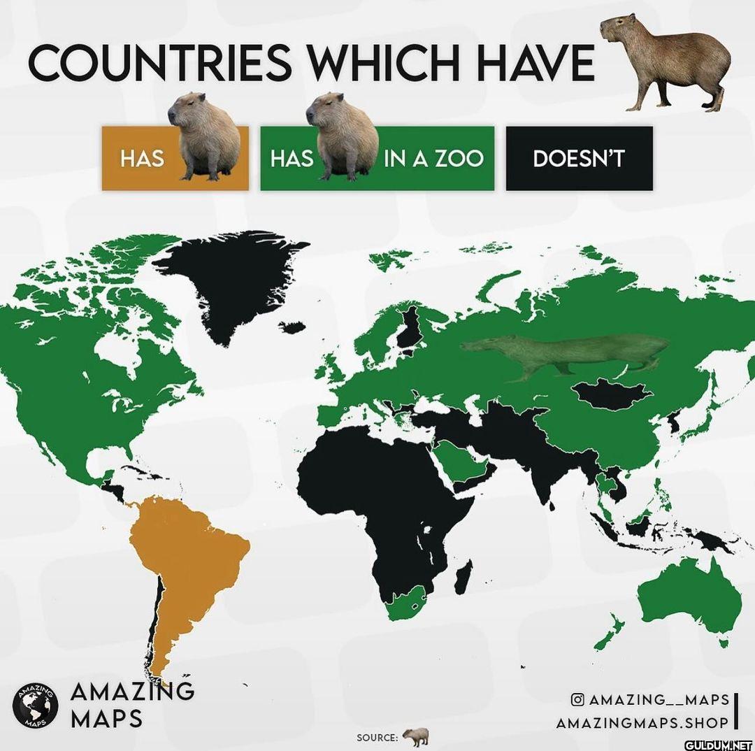 Countries that have...