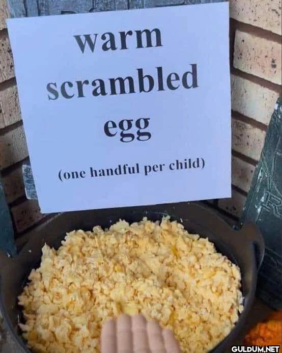 warm scrambled egg (one...