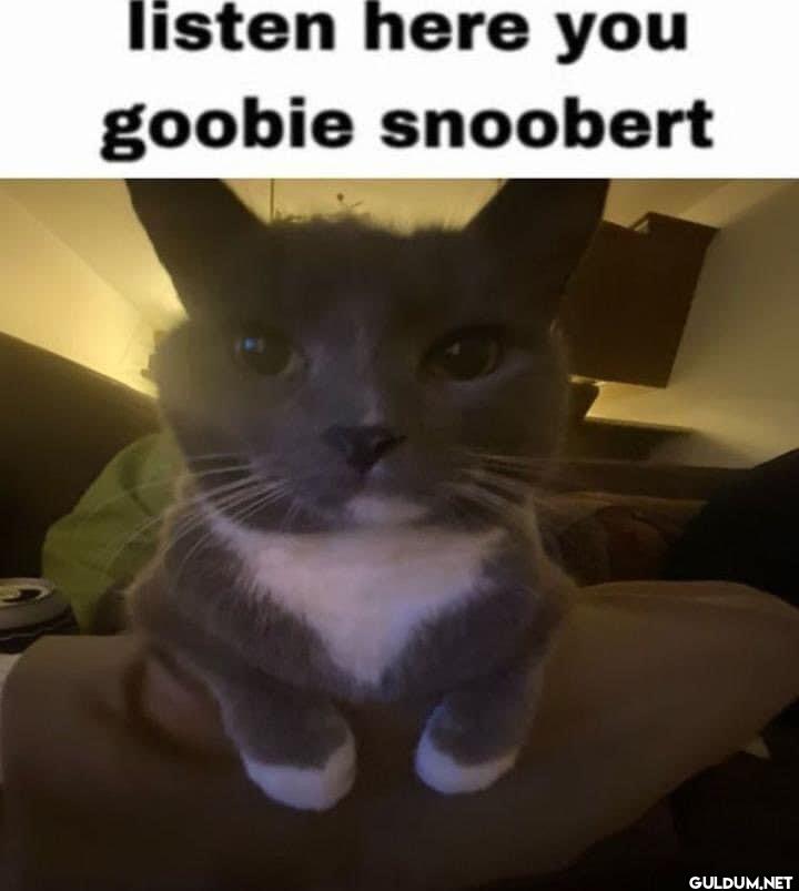 listen here you goobie snoobert