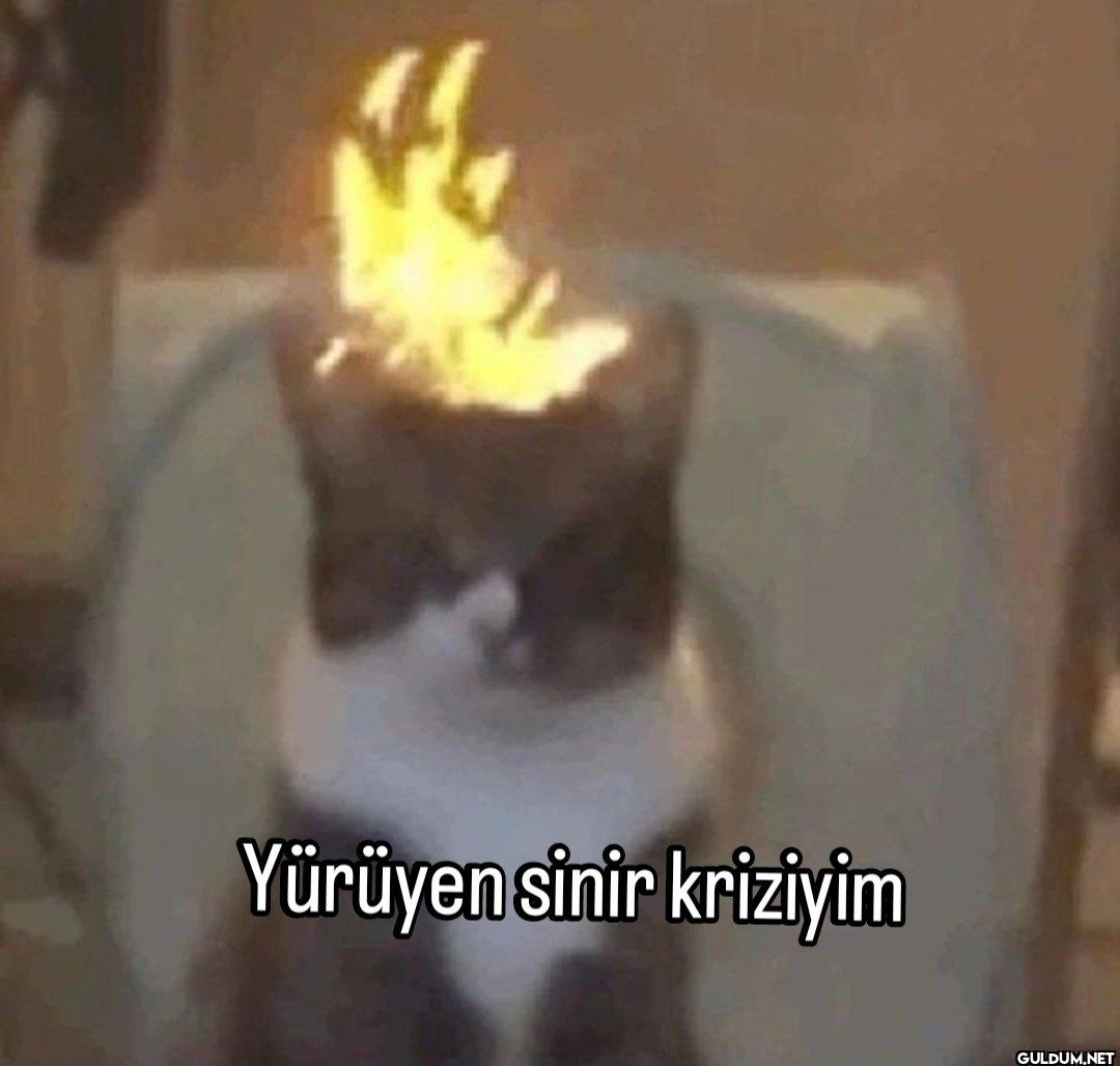 Yürüyen sinir kriziyim