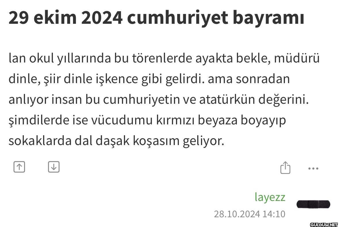 29 ekim 2024 cumhuriyet...