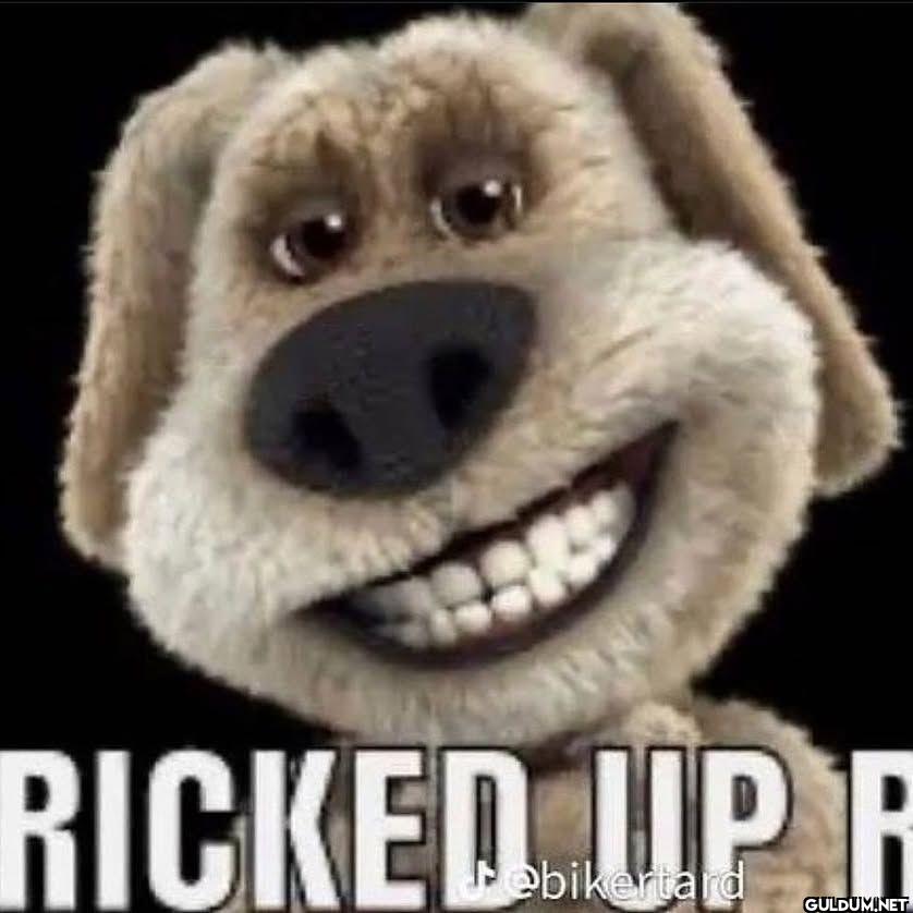 RICKED UP R
