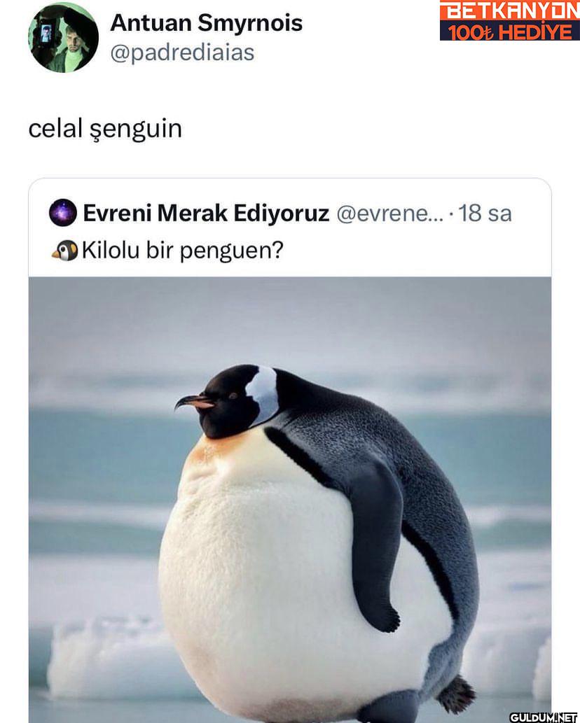 BETKANYON 100+ HEDIYE...
