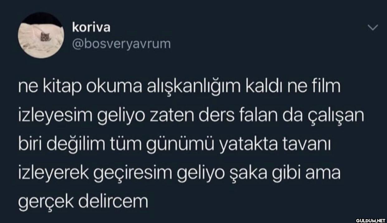 ne kitap okuma...