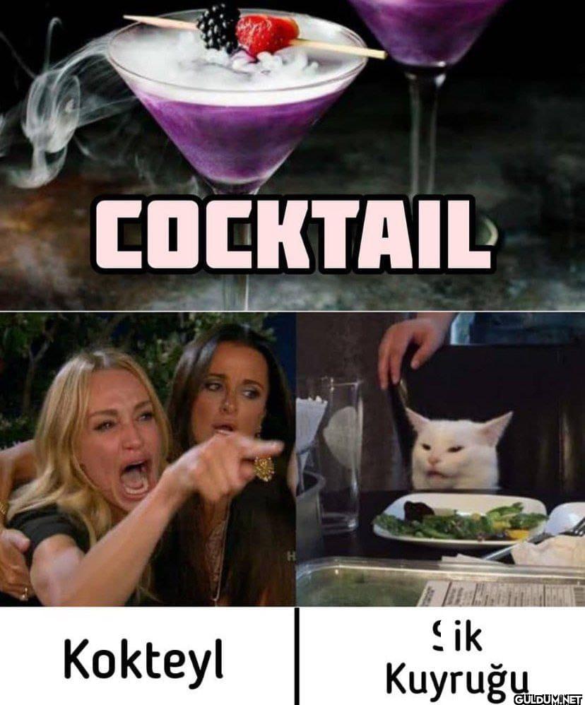 COCKTAIL Kokteyl Sik Kuyruğu