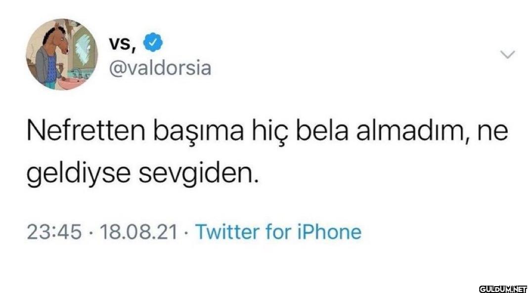 Nefretten başıma hiç bela...