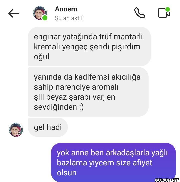 ← Annem Şu an aktif...