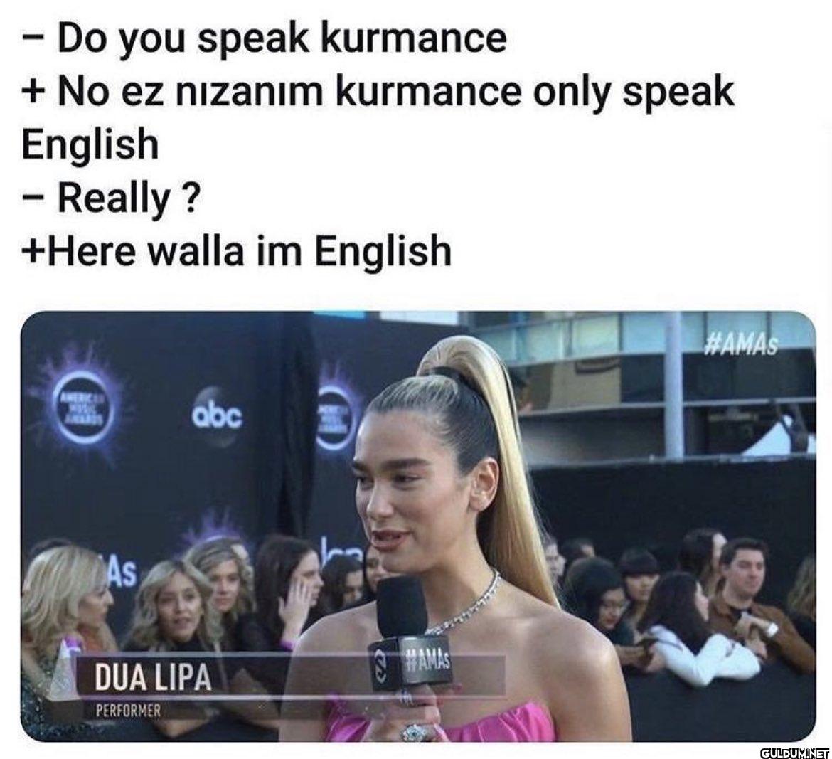 - - Do you speak kurmance...