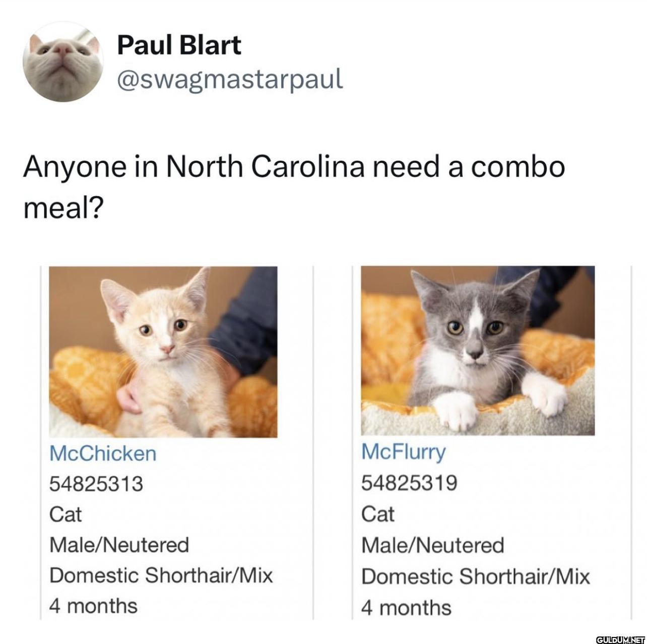 Anyone in North Carolina...
