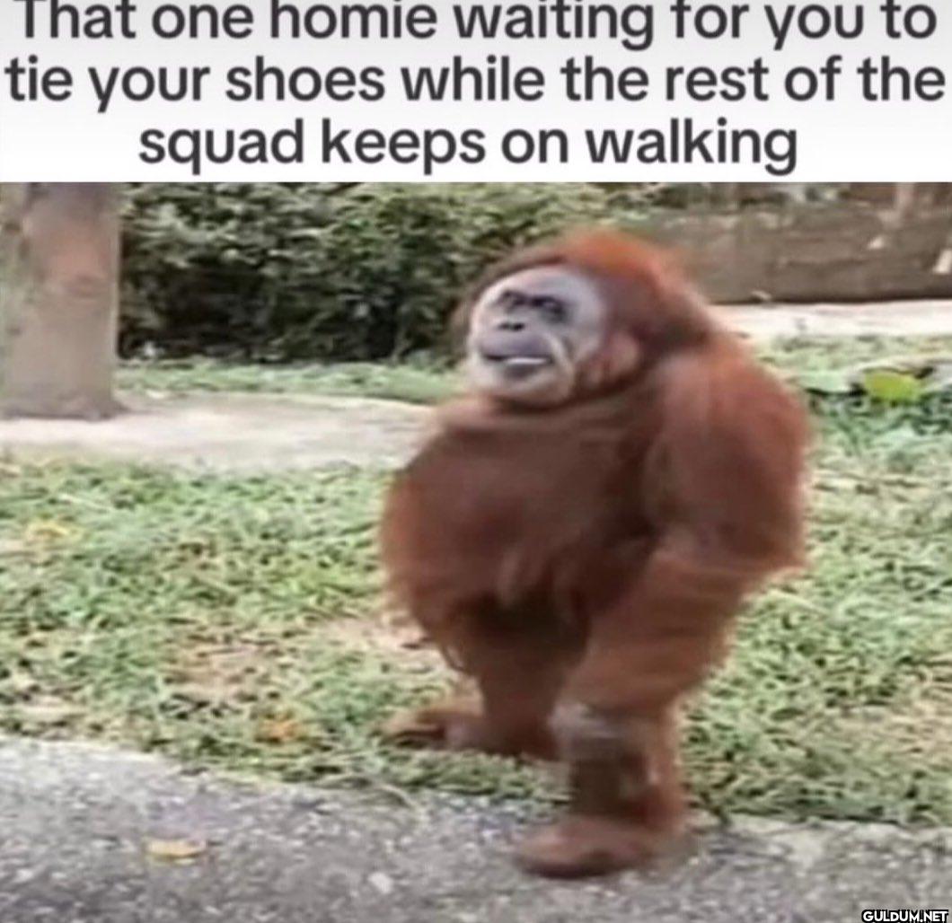 That one homie waiting for...