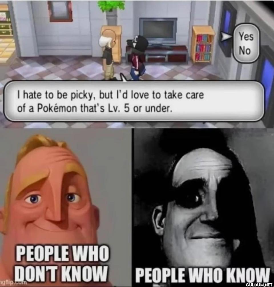 I hate to be picky, but...