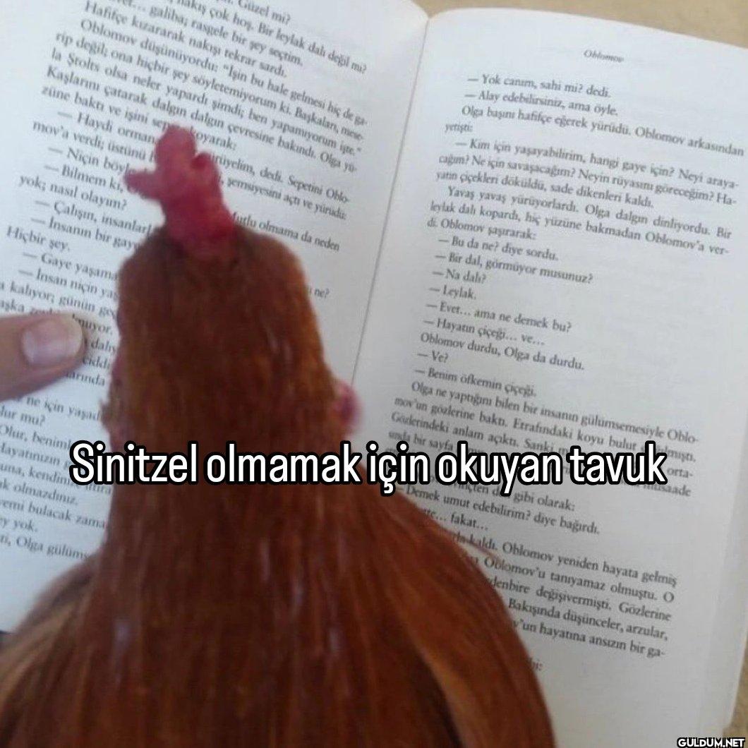 Güzel mi? Hafifçe...