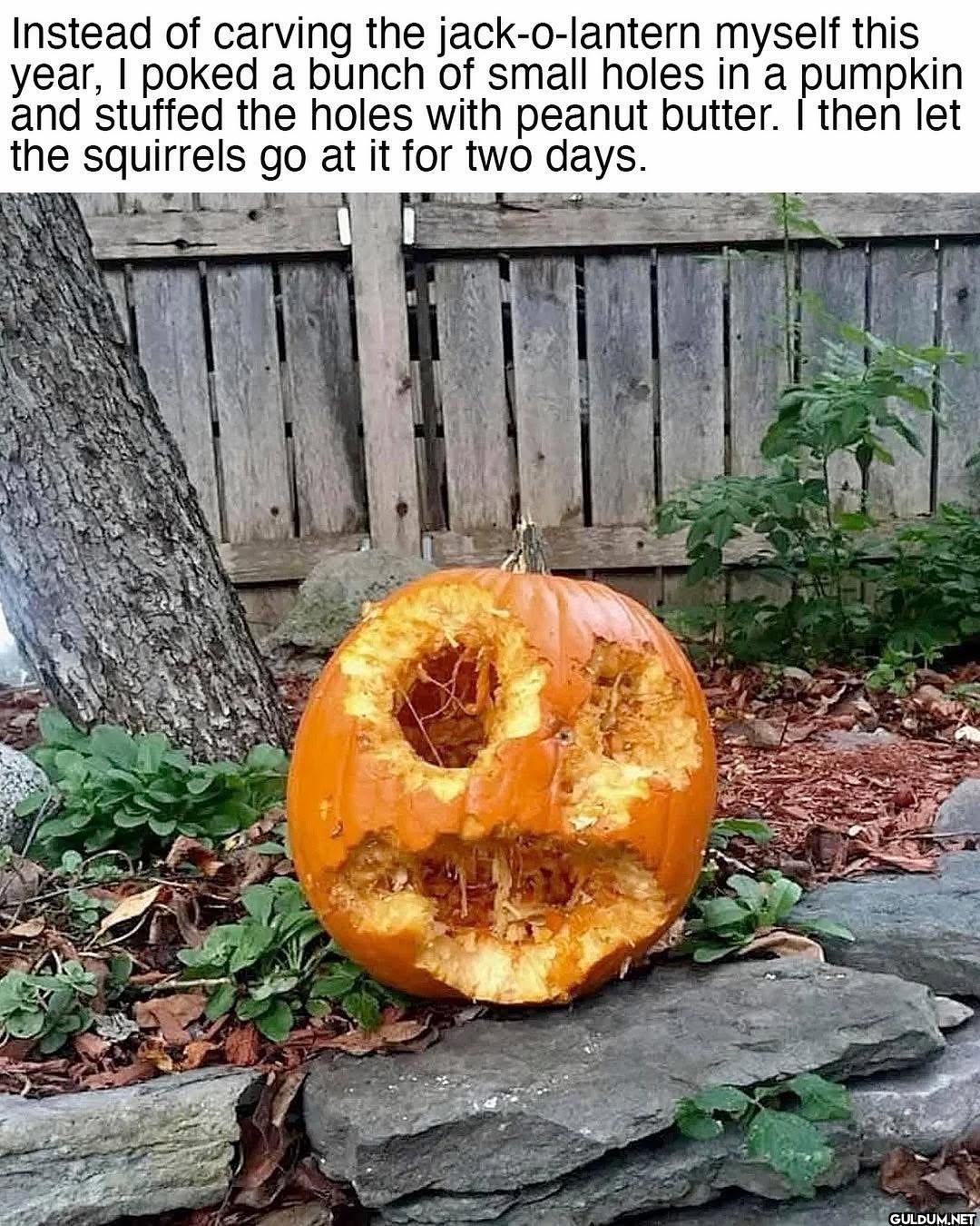 Instead of carving the...