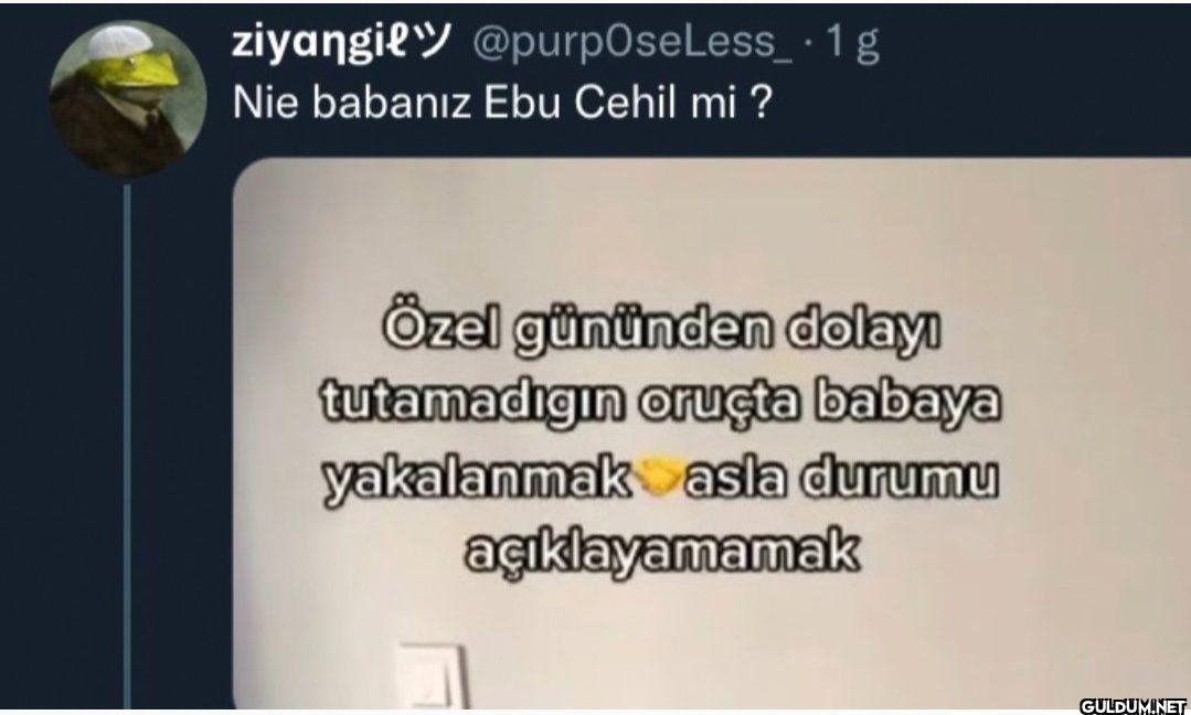 . 1g Nie babanız Ebu Cehil...