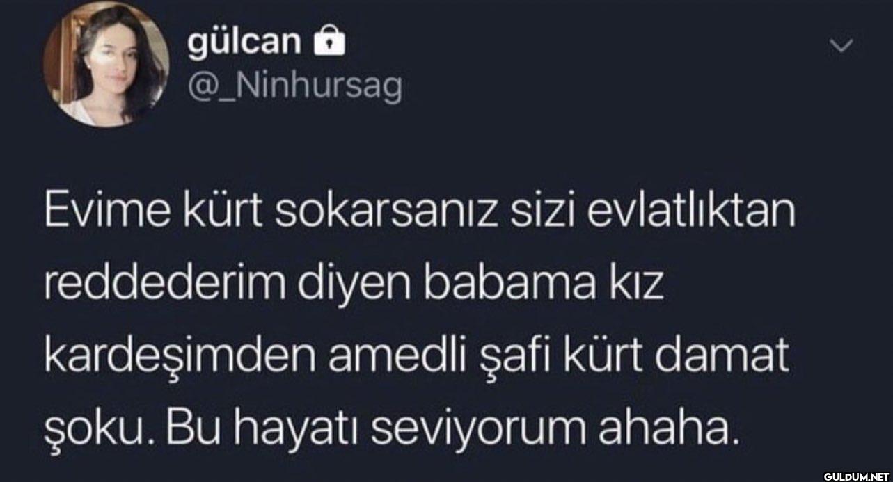 Evime kürt sokarsanız sizi...