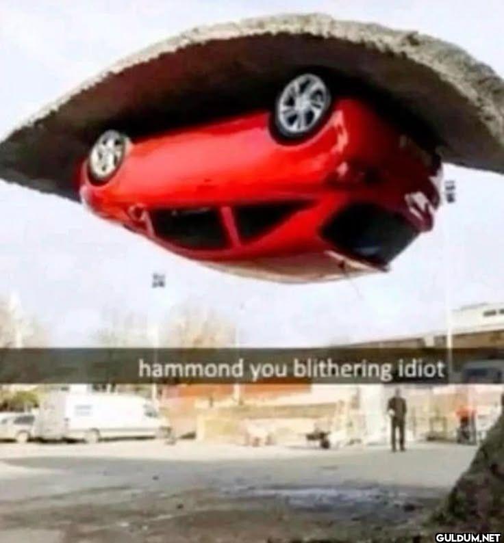 hammond you blithering idiot