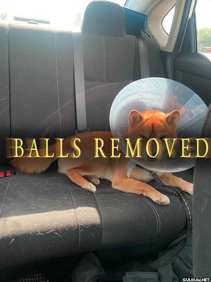 BALLS REMOVED