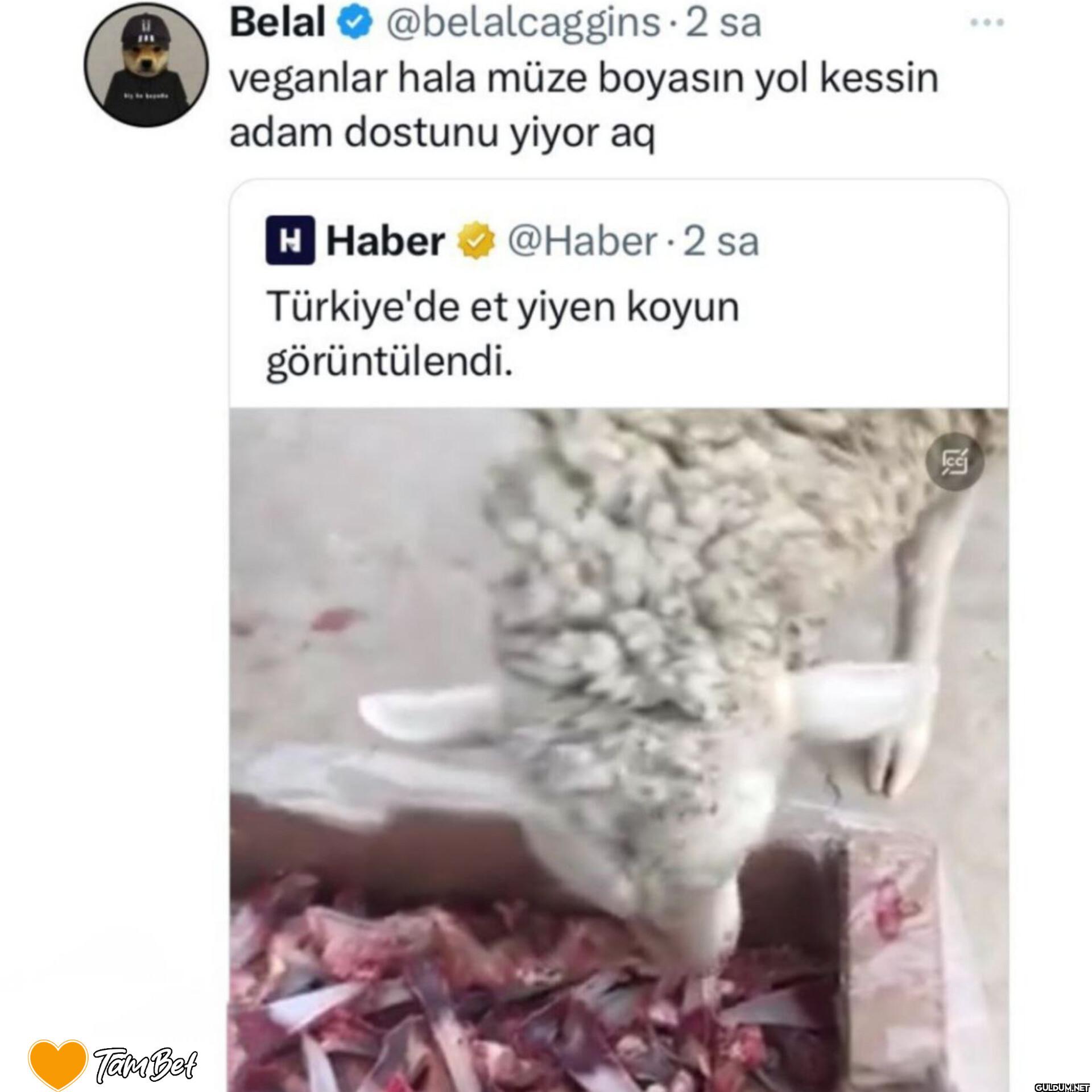 2 sa veganlar hala müze...
