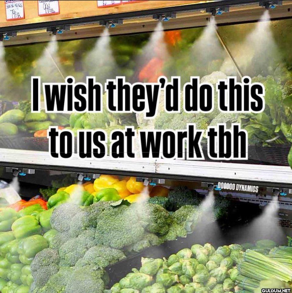 P 11: I wish they'd do...