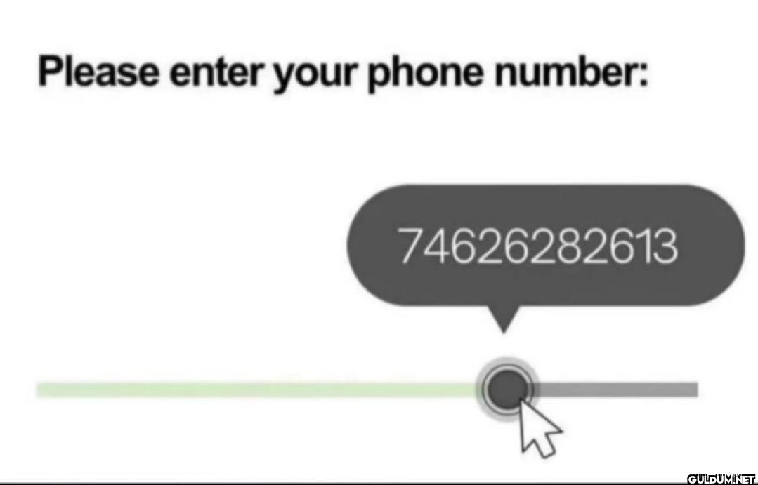 Please enter your phone...