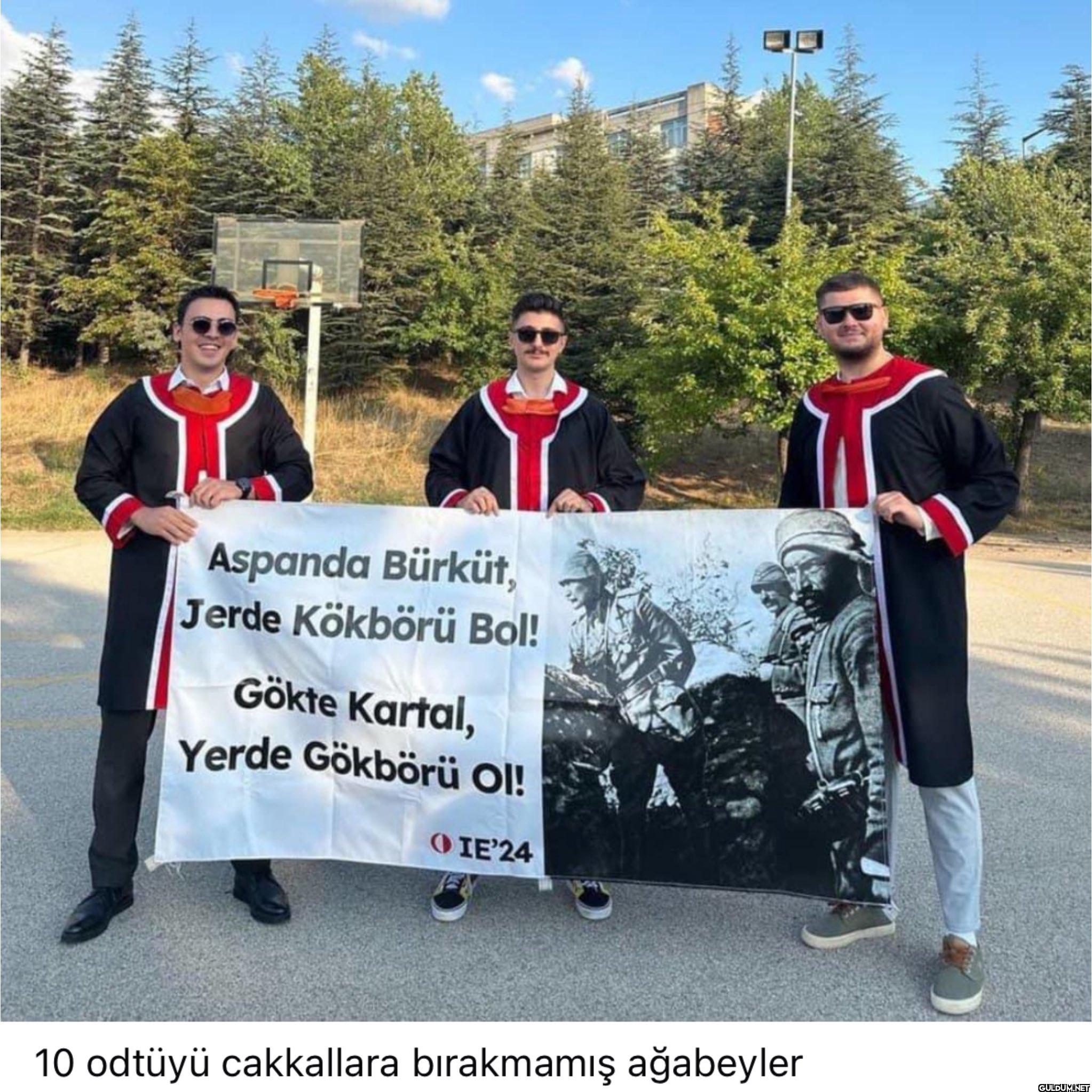 Aspanda Bürküt, Jerde...