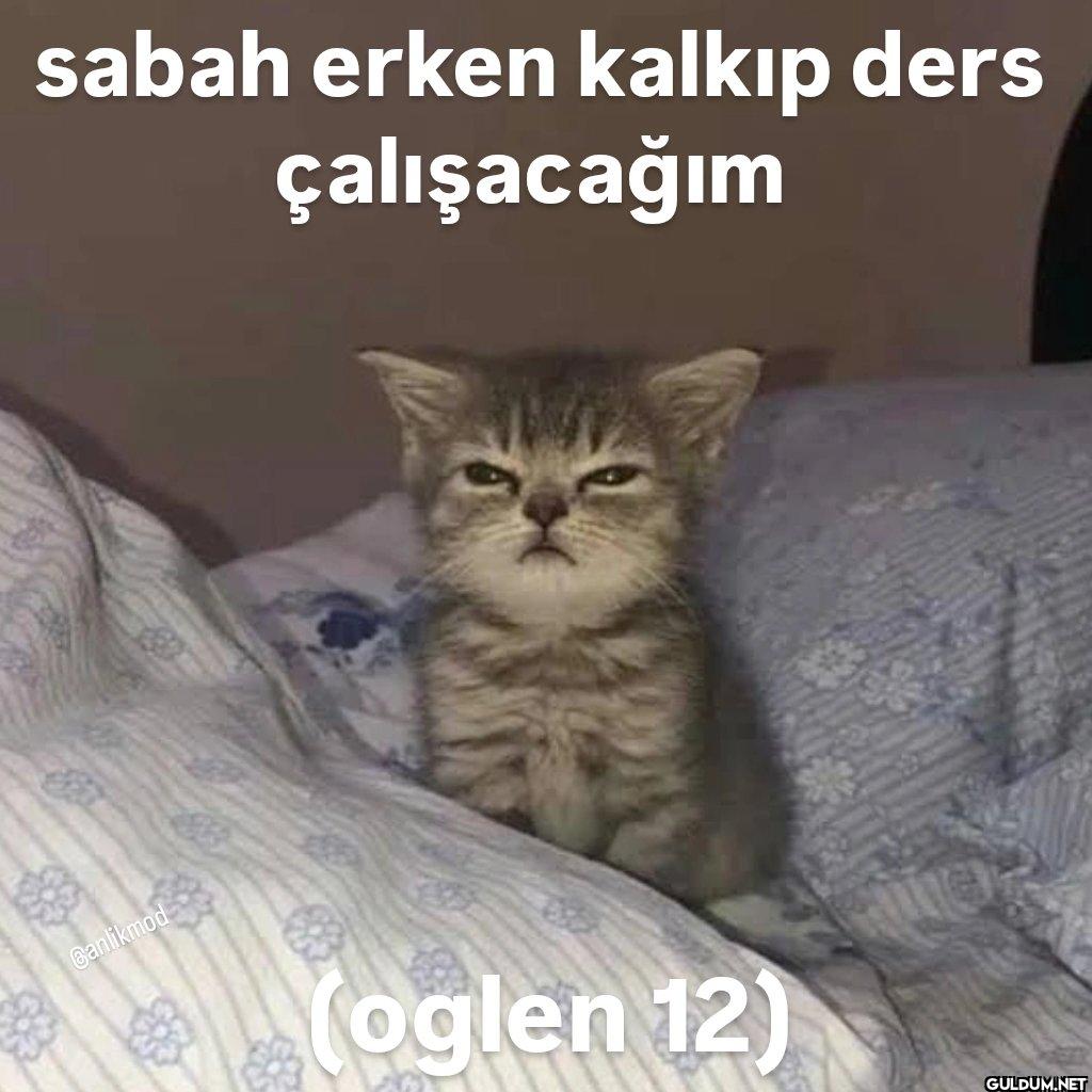 sabah erken kalkıp ders...