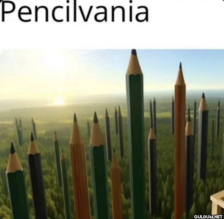 Pencilvania