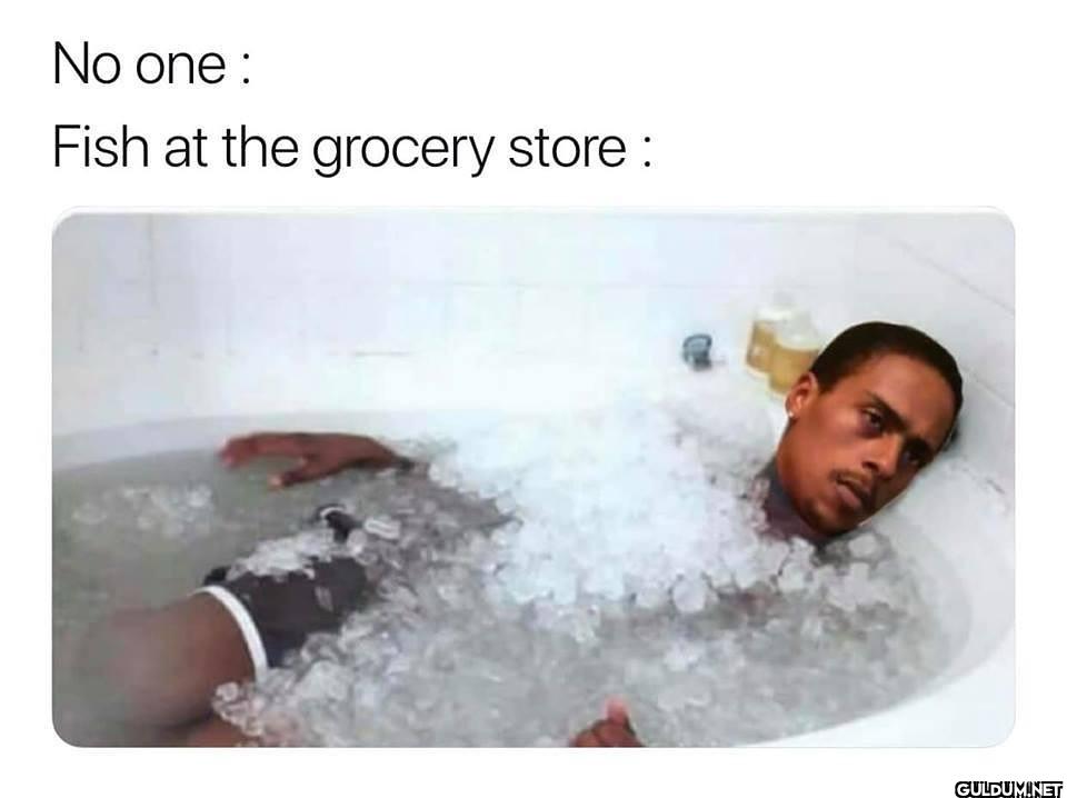 No one : Fish at the grocery store:
