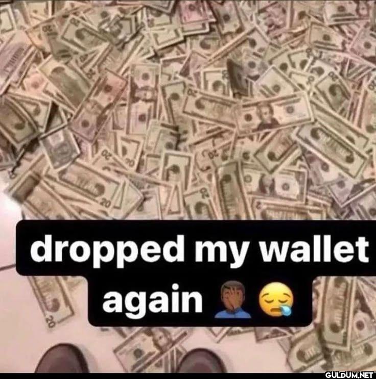 dropped my wallet again