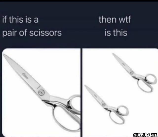 if this is a pair of...