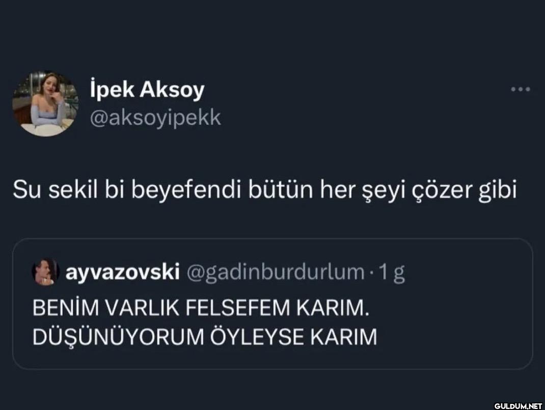 Su sekil bi beyefendi...