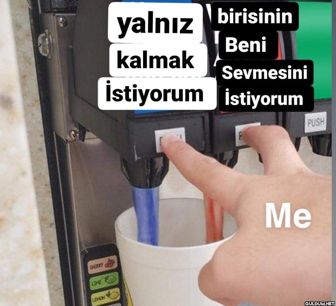 yalnız kalmak birisinin...