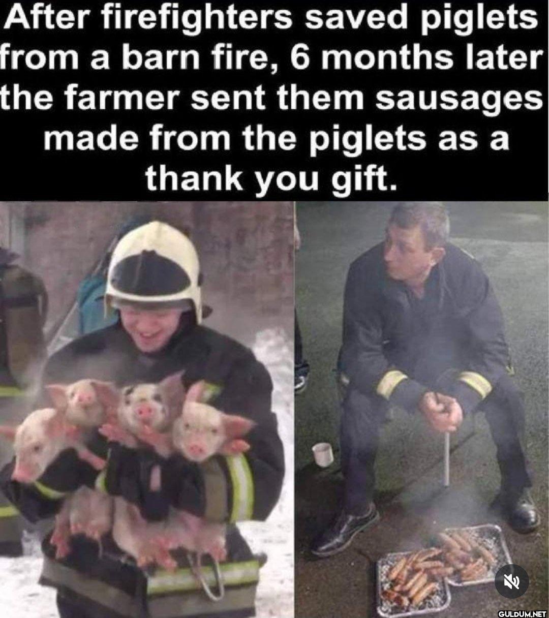 💀    After firefighters...