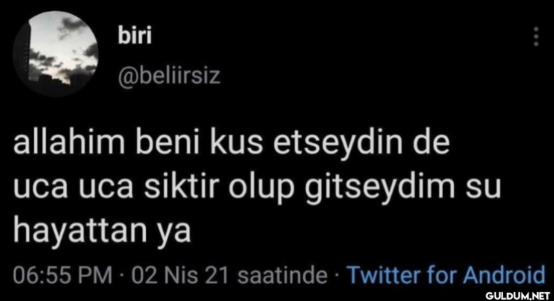 allahim beni kus etseydin...