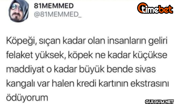 timebet Köpeği, sıçan...