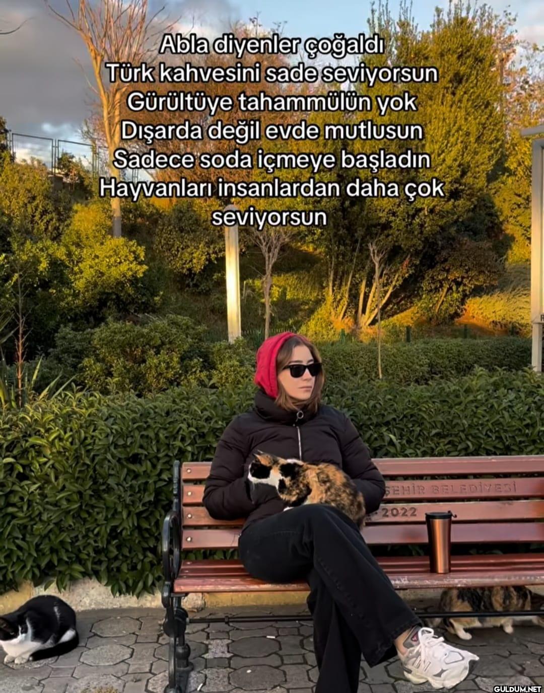 Abla diyenler çoğaldı Türk...