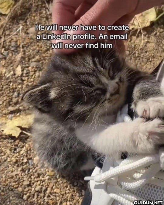 He will never have to...