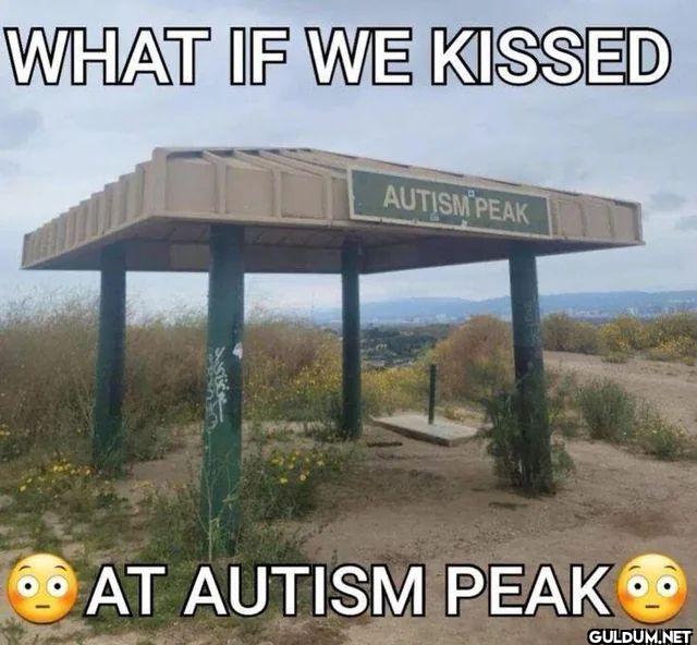 WHAT IF WE KISSED AUTISM...
