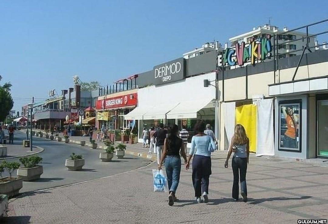 Karanlığın çöktüğü sene......
